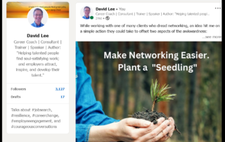 LinkedIn Page with article on networking